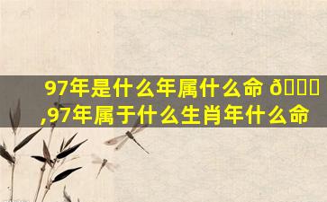 97年是什么年属什么命 💐 ,97年属于什么生肖年什么命